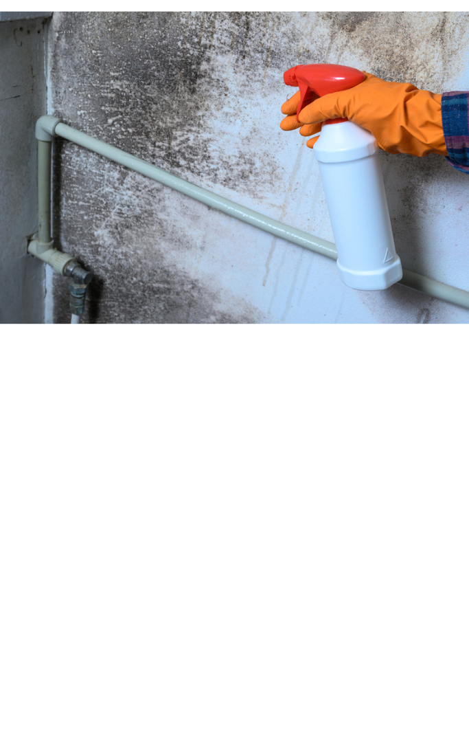 gloved hand spraying a cleaner on a wall with mold
